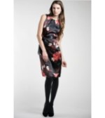 Petite Black and Red Floral Print Dress